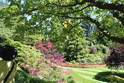 47 - Butchard Gardens  - IMG_1639